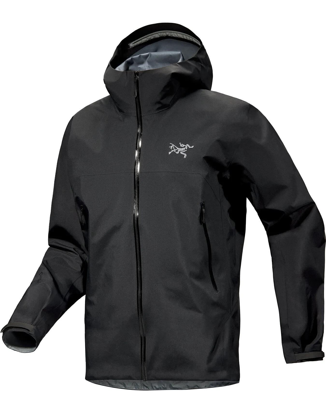 Beta GTX Jacket - Men's